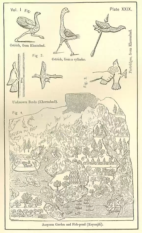 plate029